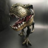 Tyrannosaurus Rex Dinosaur Model